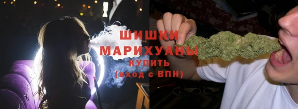дмт Аркадак