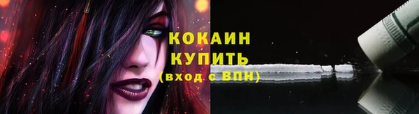 дмт Аркадак